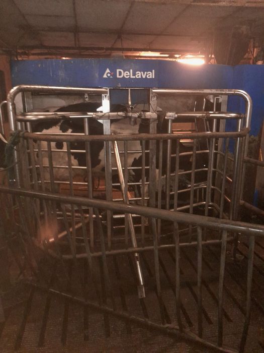 Roboty udojowe delaval komplet zbiornik silotank 10.000l