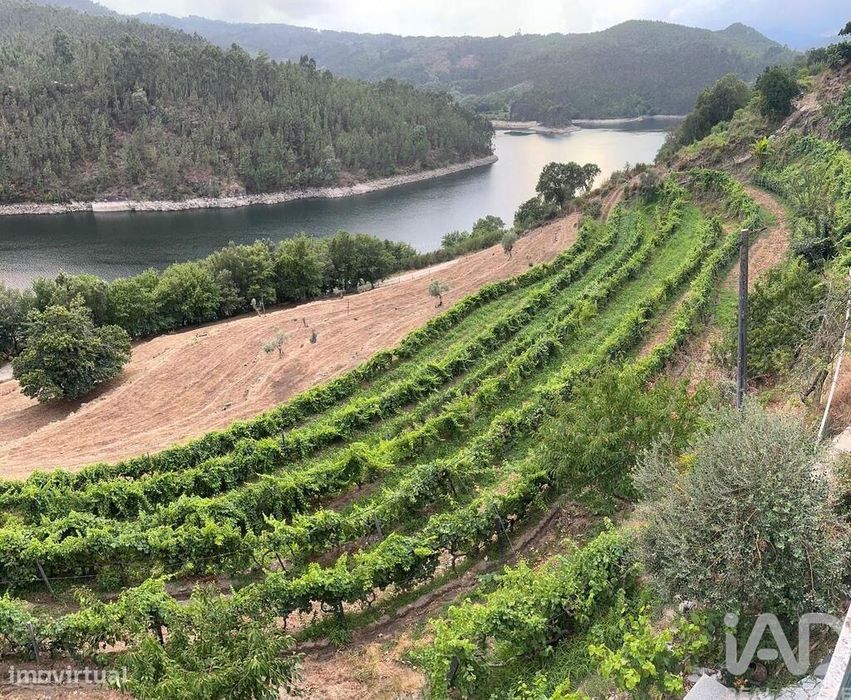 Quinta rural T4 em Valadares de 40000 m2