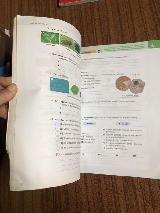 Caderno atividades/ livro fichas ciencias 5 ano
