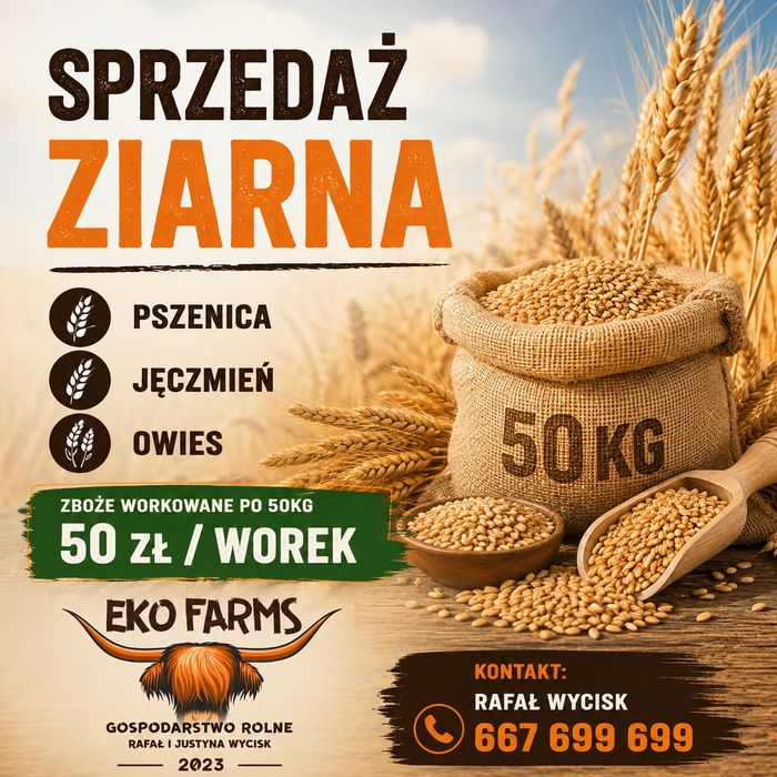 Zboże workowane pszenica jęczmień owies