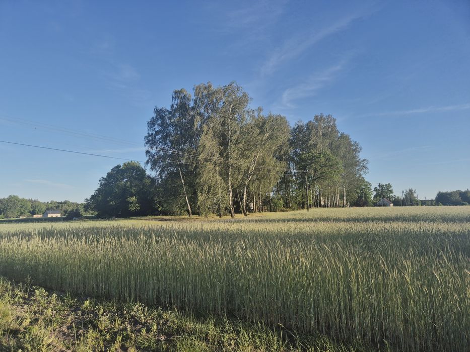 Sprzedam dom 97 m² działka 1000 m² – další