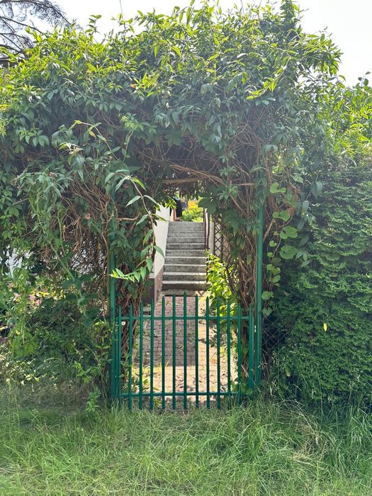 Dzialka ROD Łagiewniki Ogrody ROD 300 m² - Widok 3