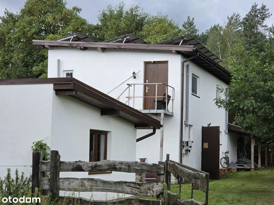 Zdjęcie 6