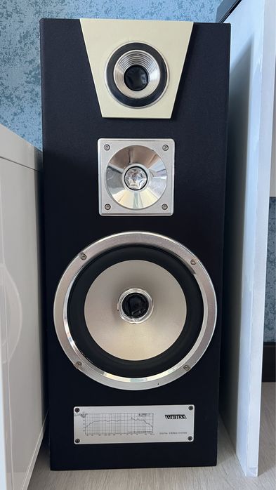 2 великі акустичні колонки