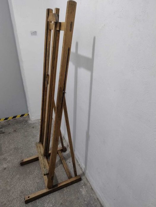 Sztaluga malarska duża