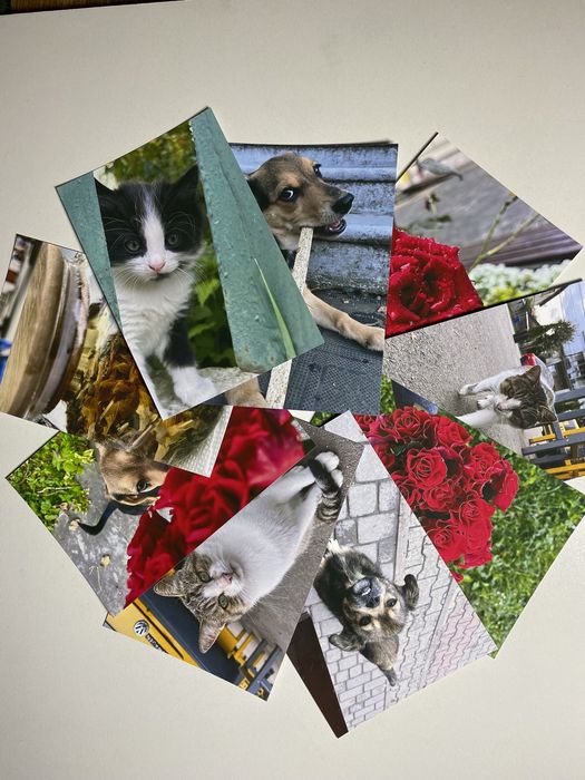 Печать фото, qr код, постеров, стикеров, наклеек, логотипов под заказ ...