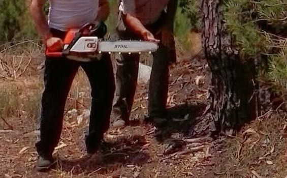 Motosserra Stihl MS310