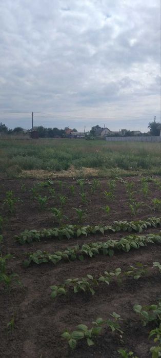 Продаж земельної ділянки з комунікаціями в Слободі
