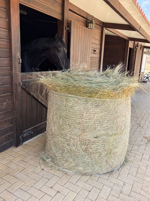 Rolos de Feno Espontaneo (approx 200 kilos)
