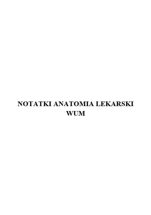 Notatki Anatomia WUM Lekarski