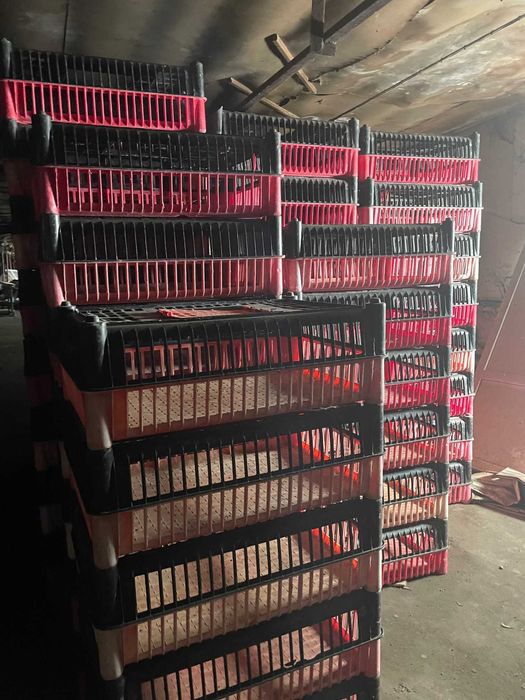 klatka klatki skrzynka do transportu drobiu , ptaków