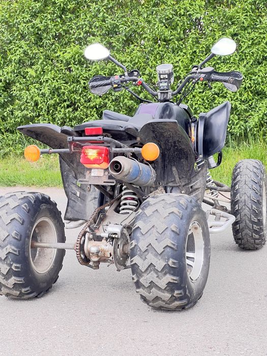 Квадрик башан 250