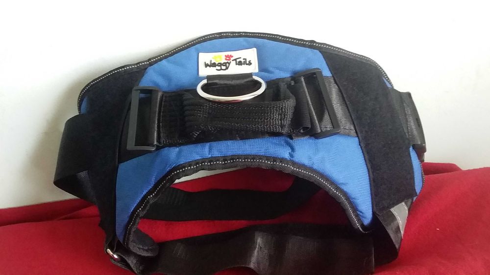 Шлейка для собаки-нова-Waggy Tails-L