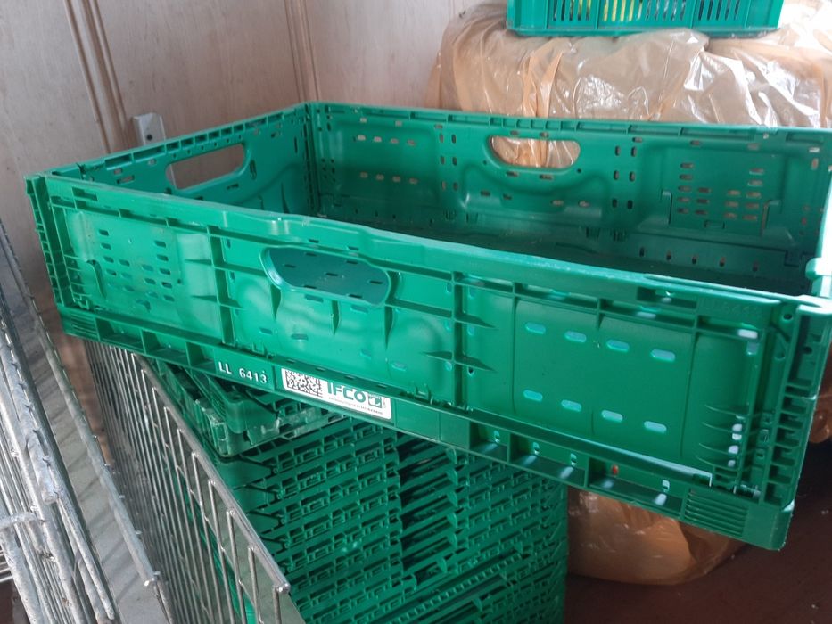 Skrzynki plastikowe do transportu żywności
