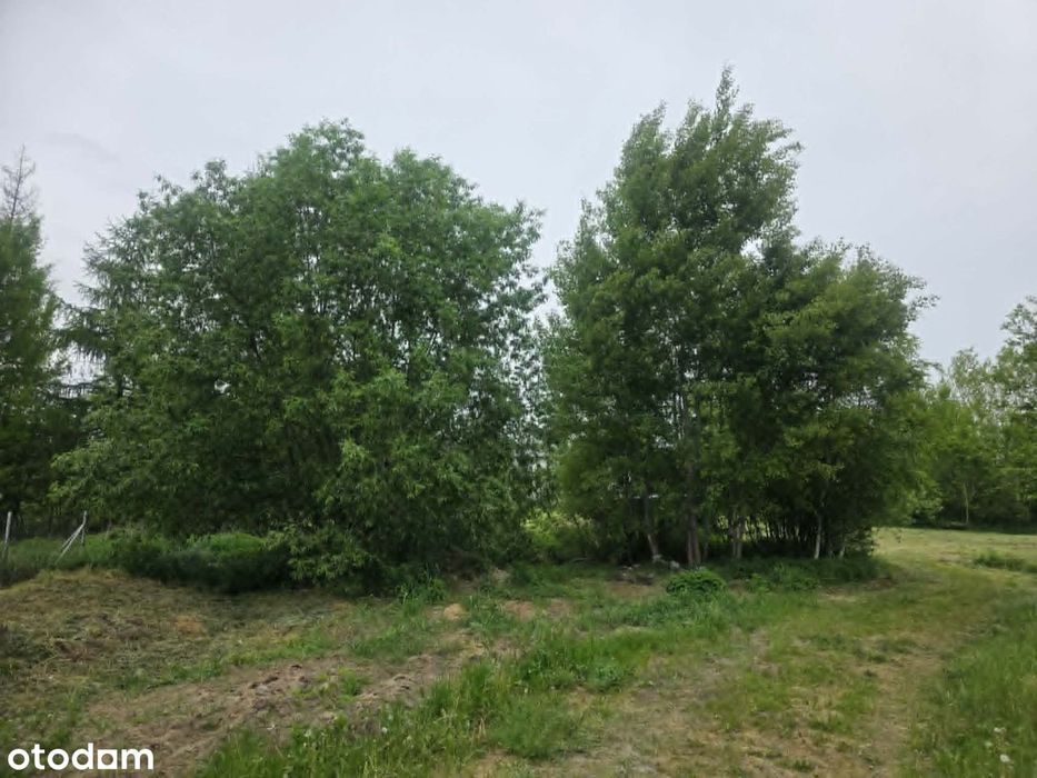 Na sprzedaż działka budowlana – Czersk, ul. Poziomkowa - Widok 5