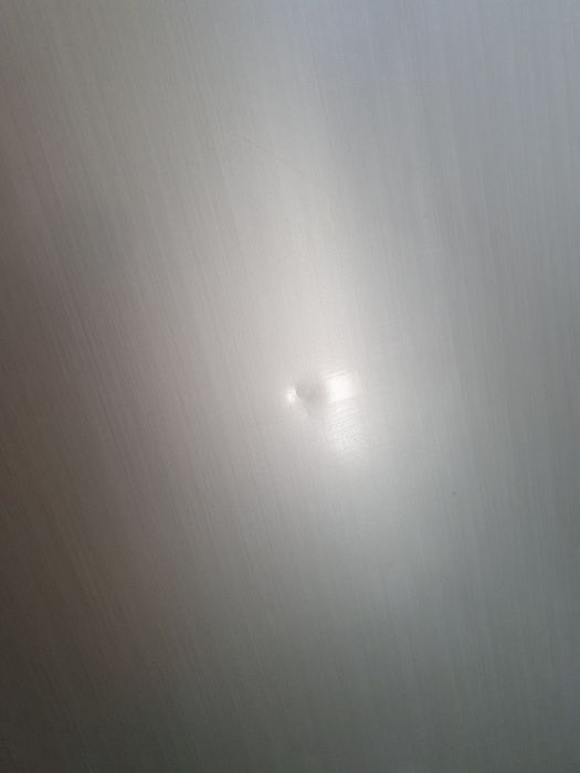 Górne drzwi chłodziarki Samsung RL36SBMS