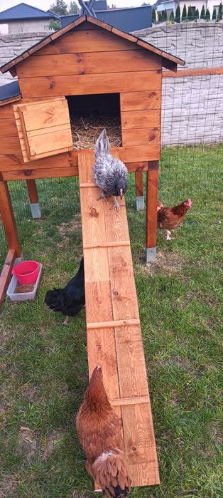 Kurnik drewniany ocieplany. Polecam!