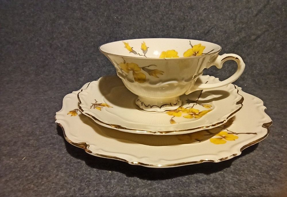 Porcelana SORAU Carstens Żółta Mimoza Żary TRIO ideal