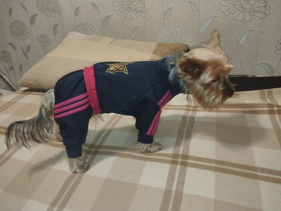 Продам одежду для мелких пород собак