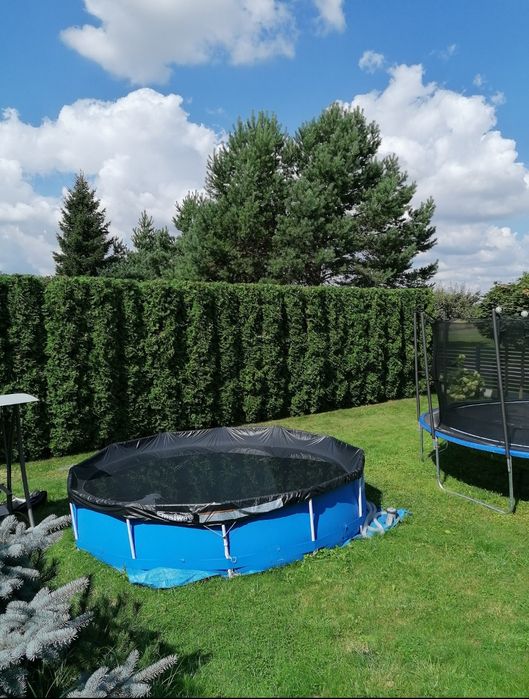 Chełm i okolice-Skracanie  Tuii, Koszenie trawy, wycinka drzew.