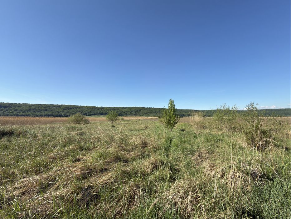 Продаж інвестиційної земельної ділянки 4,5 га