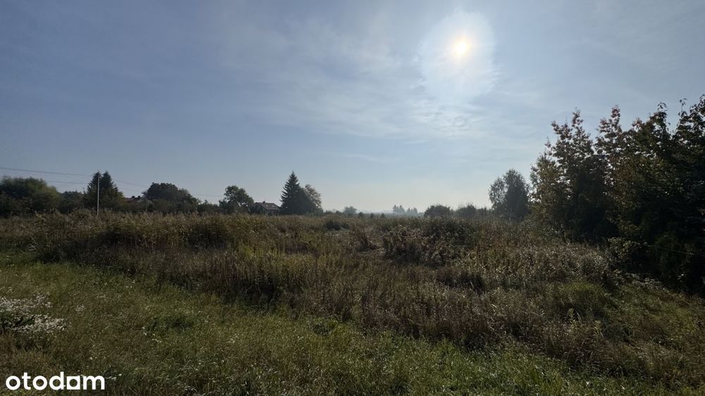 Działka Usługowa 54 Ary | Złota - Widok 4