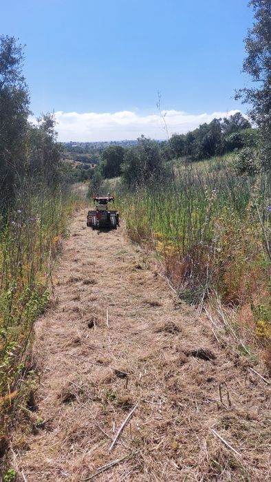 Limpeza de terrenos com destroçador pedestre- rápido e eficaz