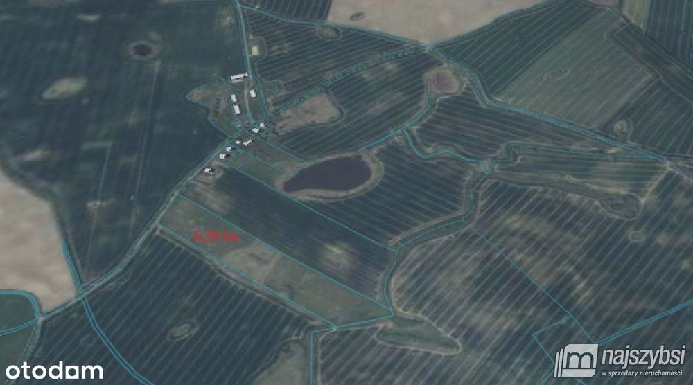 Niesułów-Działka Rolna 6,39 Ha Klasa III