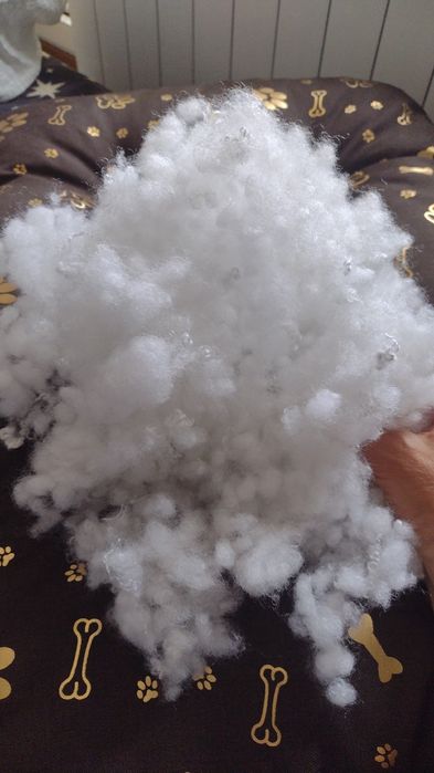 Nowe legowisko dla pupila