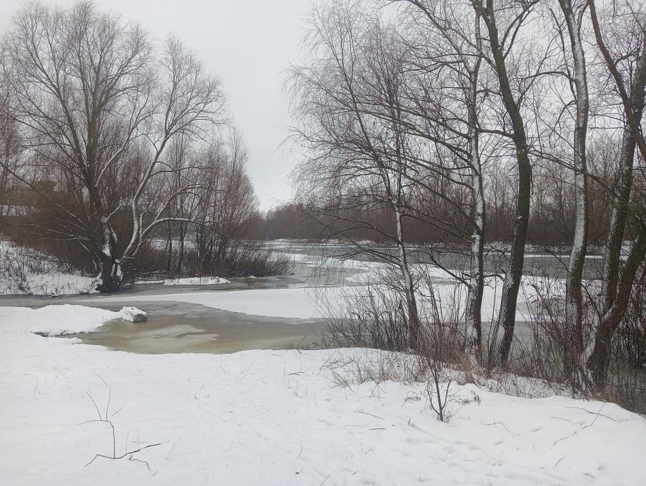 Оренда котеджу в шикарному місці на Десні подобово!!!