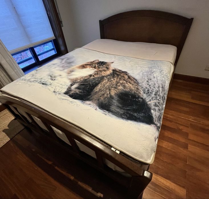 Cama de casal com colchão bom estado e duas mesas de cabeceira