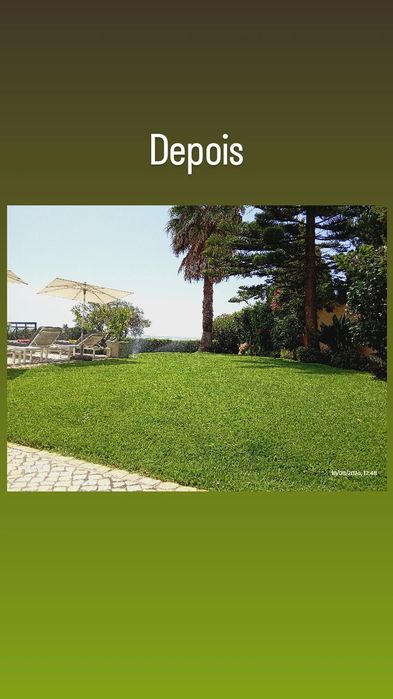 Jardinagem e Manutenção de Jardins
