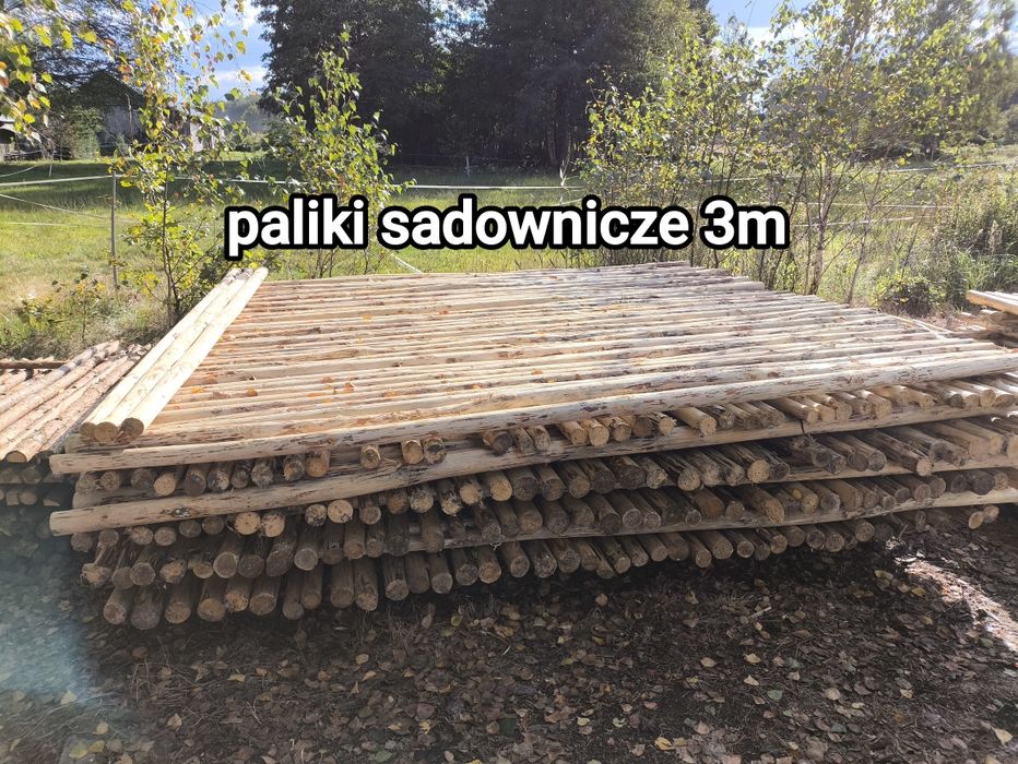 Paliki sadownicze ogrodowe 3m 4zł za sztukę odbiór osobisty Przewrotne