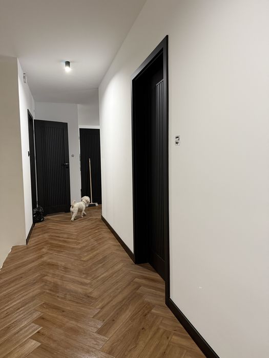 Elewacje/Wykończenia/ Sucha zabudowa