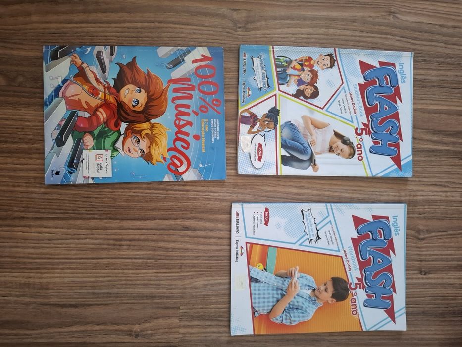 Manuais e cadernos escolares 5 Ano em bom estado