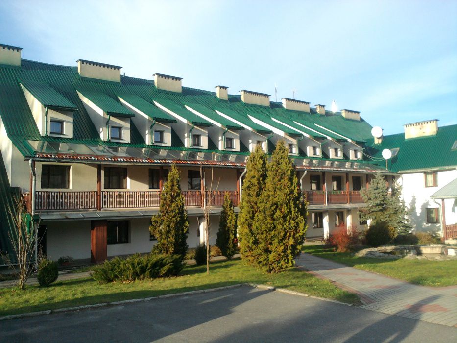 Malowanie dachów, malowanie dachu, mycie dachu, dachówki,