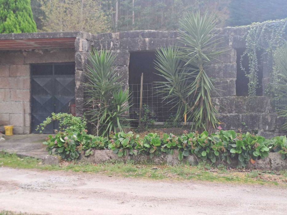 Quinta com 9.000m  no alto do Mozinho em Penafiel