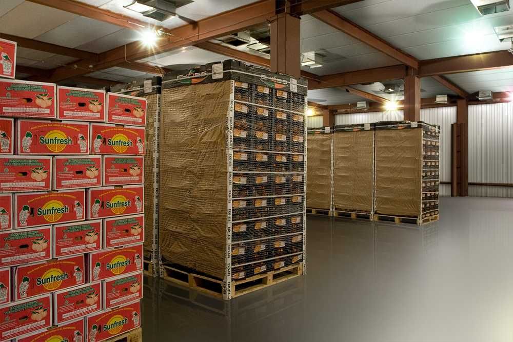 Холодильне кліматичне устаткування камера для бананів Закарпаття