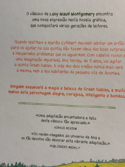 Novela Gráfica - Ana dos Cabelos Ruivos. Livro juvenil.