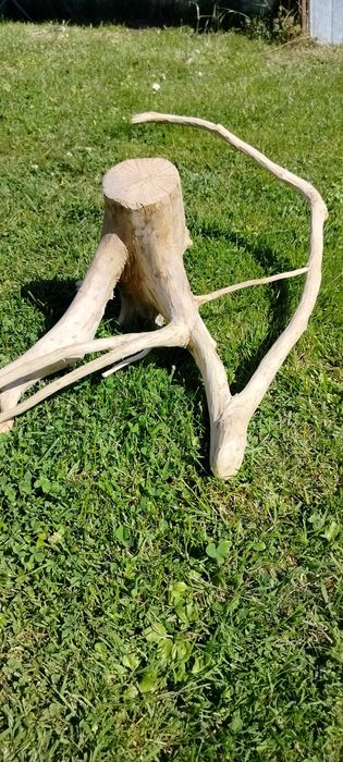 Sprzedam korzeń do akwarium , terrarium