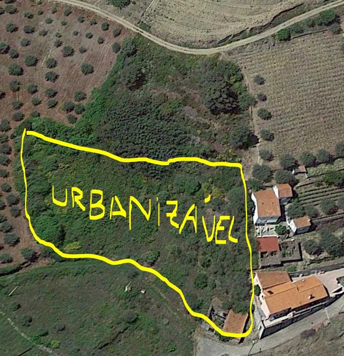 Quintinha no Douro com imóvel para recuperar