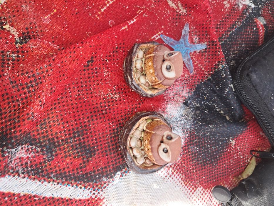 Cojunto dois mochinhos