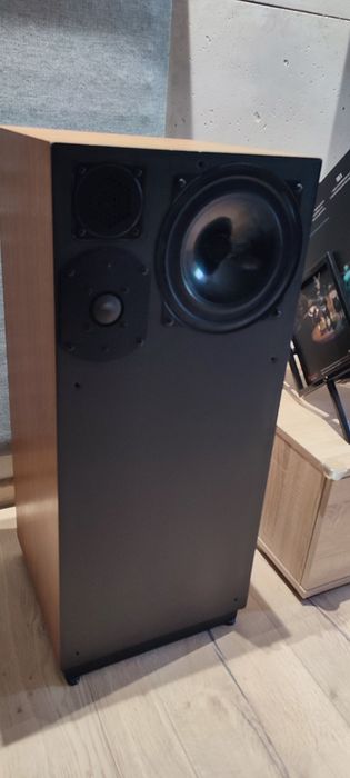 Kolumny Auditor Point Source 1 Made in France 76r (focal,audax)