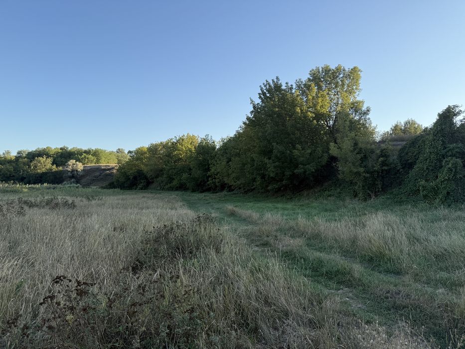 Продам будинок Сурсько-Литовське