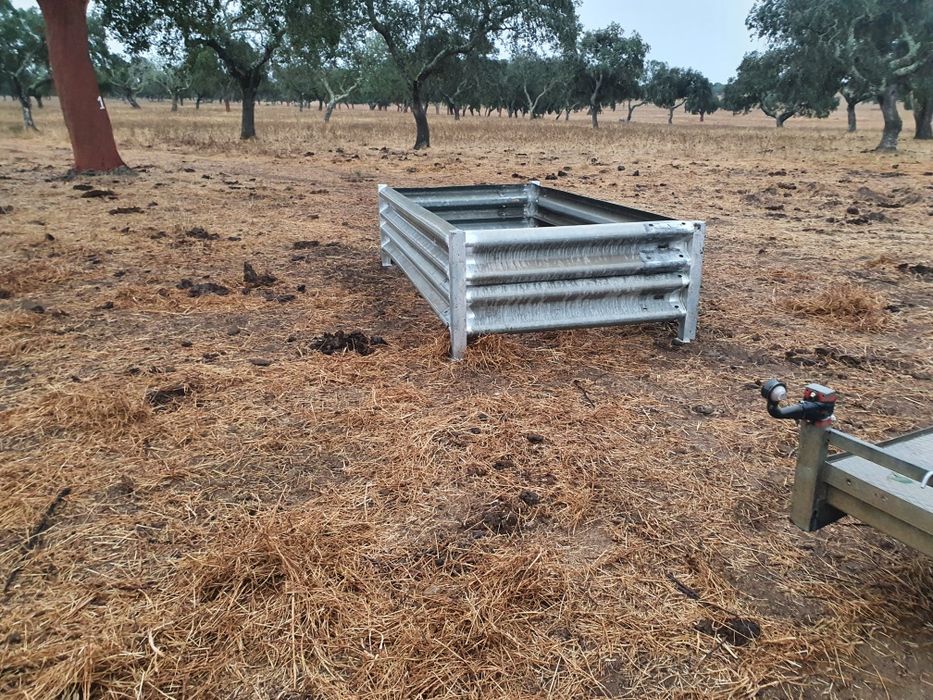 Comedouro  de raides para vacas