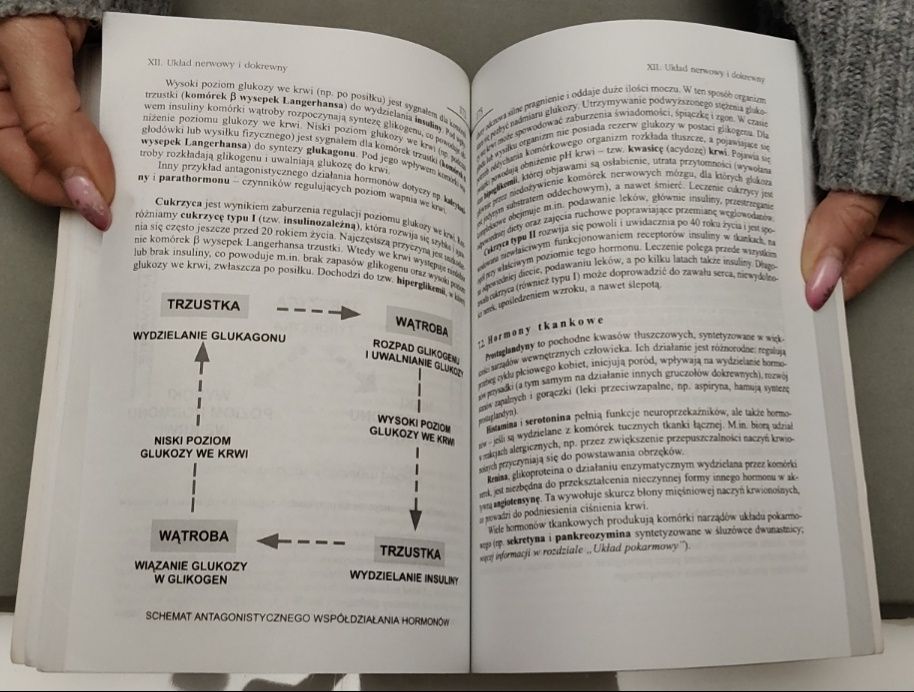 Repetytorium Biologia + Słownik Szkolny Biologia ( Stan B. Dobry)