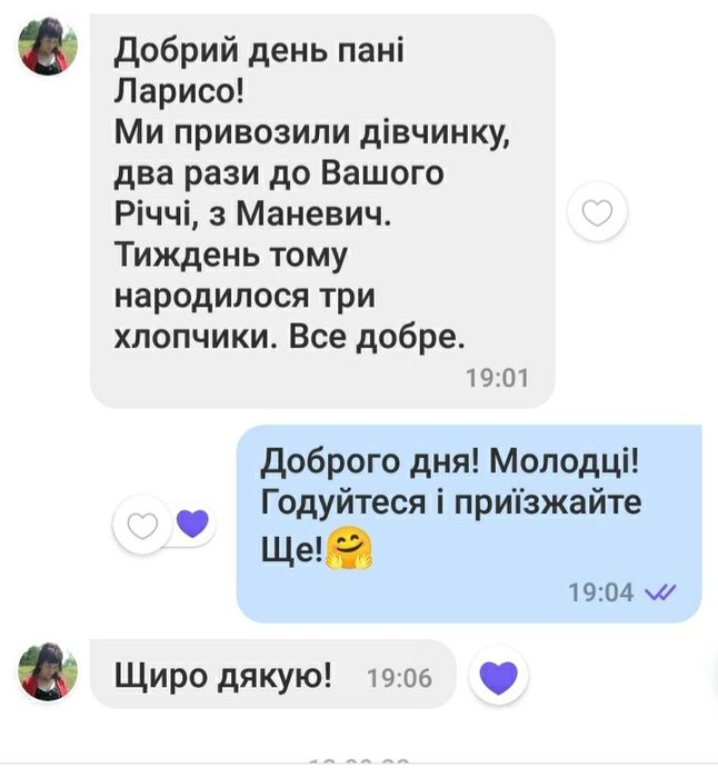 В'язка йорка (хлопчик)