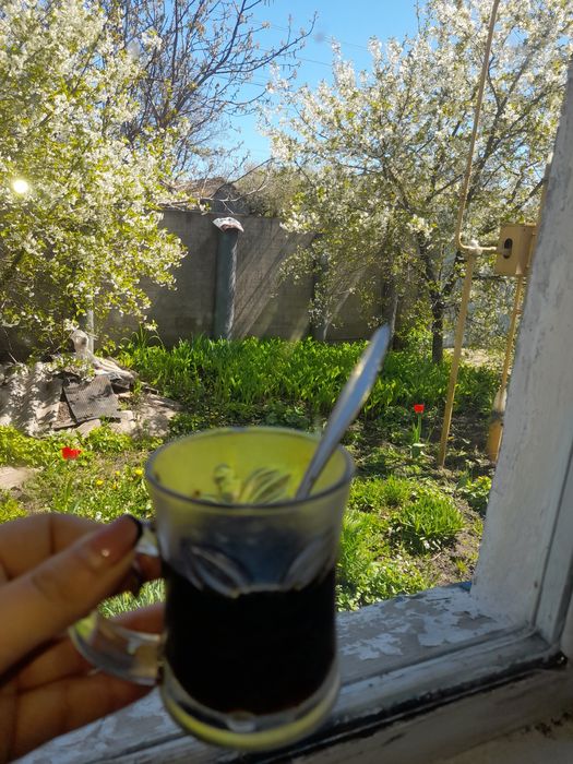 Здам будинок в оренду