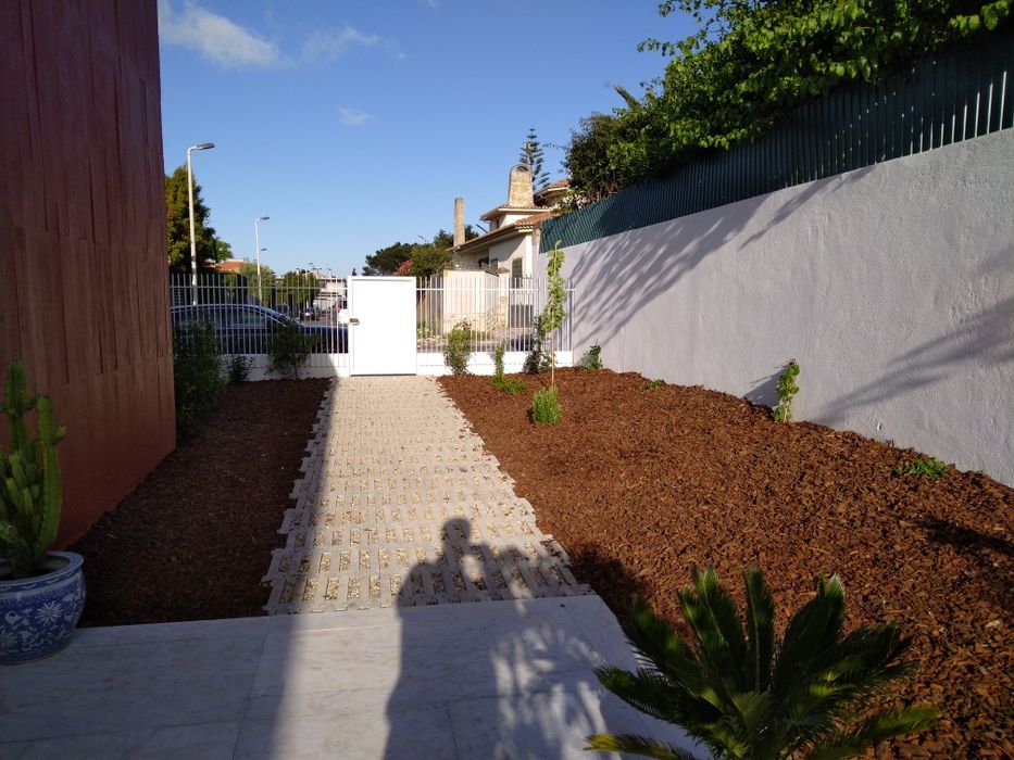 Casca de Pinheiro  75€