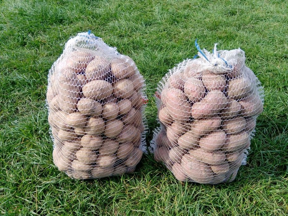 Ziemniaki 25zł/15kg z dowozem